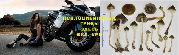 круглые Михайлов
