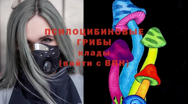 прущие крисы Надым
