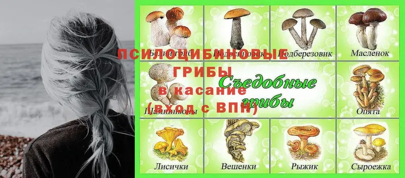 Галлюциногенные грибы MAGIC MUSHROOMS  Балахна 