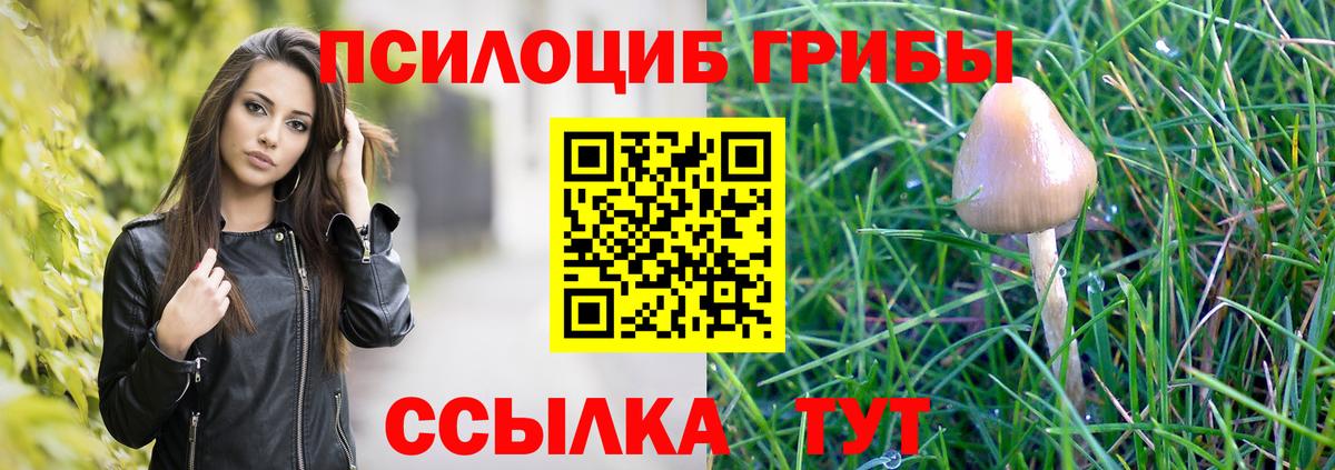 Галлюциногенные грибы мицелий Балахна