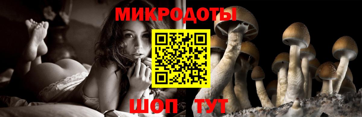 Балахна  Галлюциногенные грибы Psilocybe  Вход с VPN 