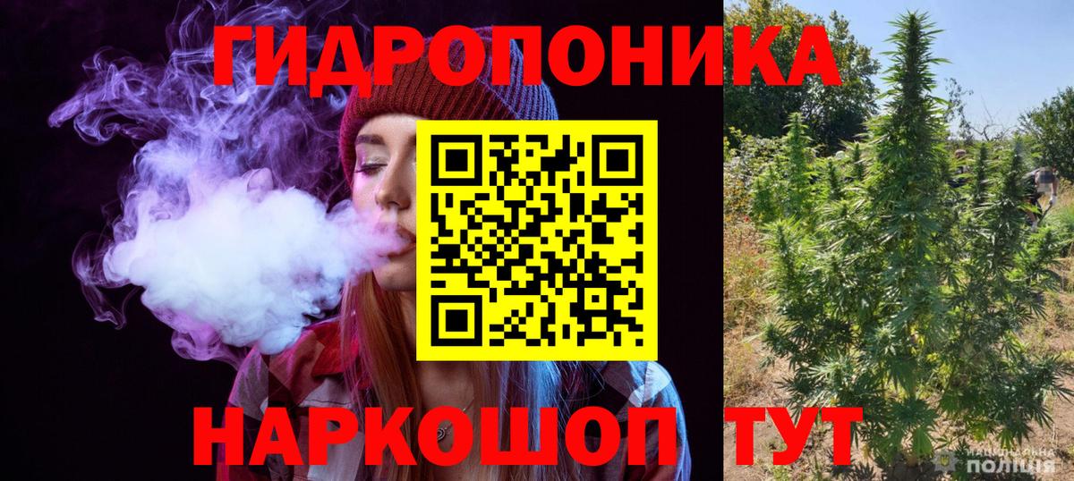 Бошки марихуана ГИДРОПОН  Канабис AK-47  Каннабис сатива  Балахна  Вход с VPN 